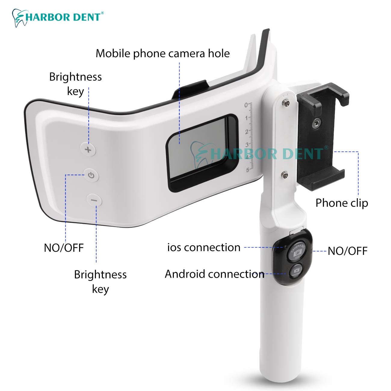 お手頃価格 歯科撮影用モバイルライト 明るさ調整可能 口腔内 - Good Lighting In Photography のレビューと価格