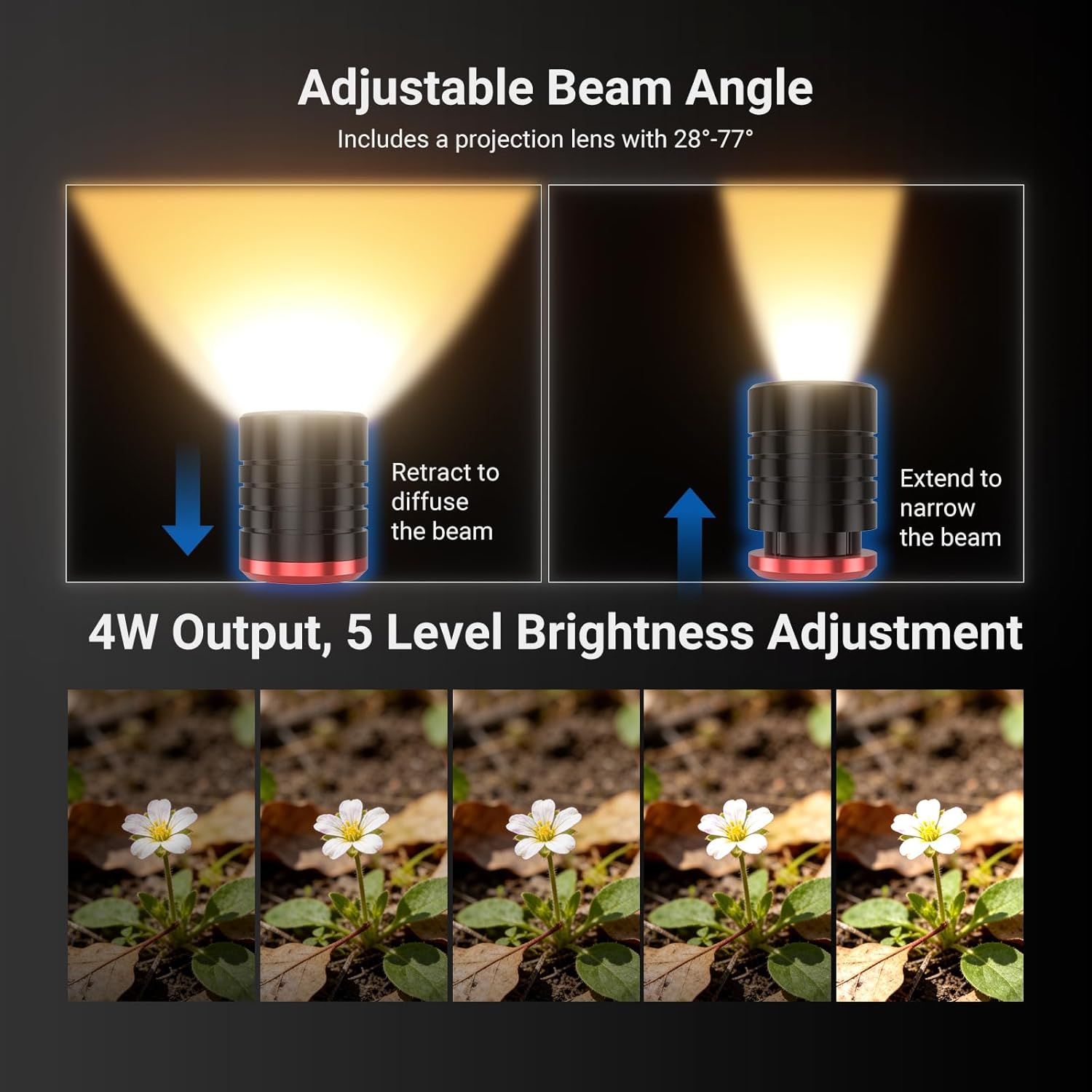 NEEWER BASICS 2 パック ML01 USB C - Photography Lighting Basics のレビューと価格